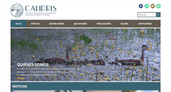 Desktop Screenshot of calidris.org.co