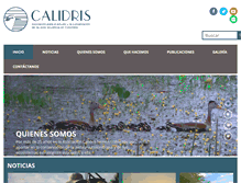 Tablet Screenshot of calidris.org.co